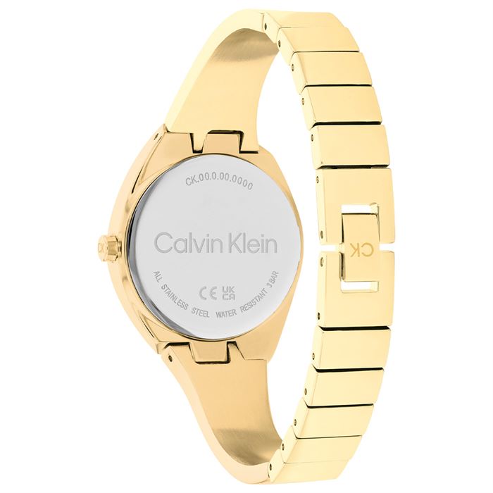 Calvin Klein CK25200235 Kadın Kol Saati